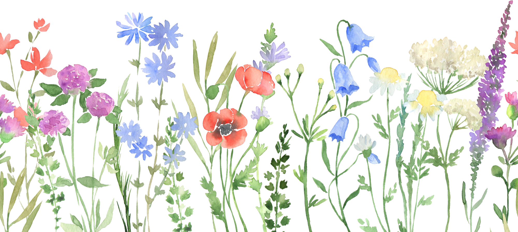 Watercolor Wildflowers Seamless Border